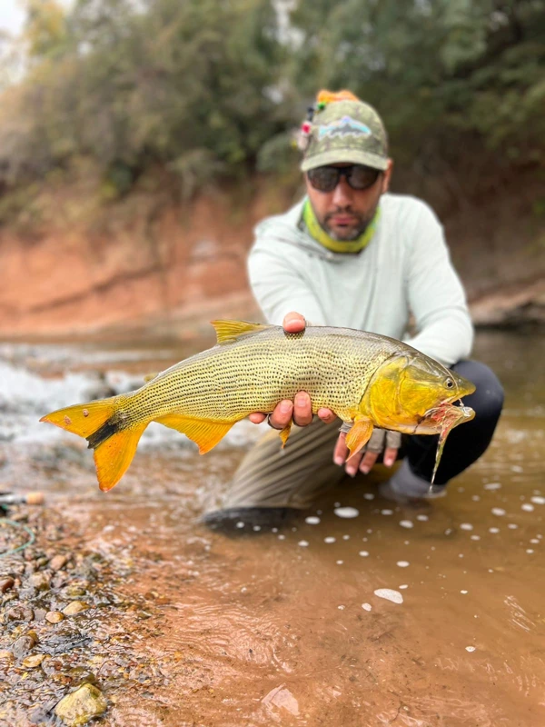 Un ejemplar dorado, sostenido junto al agua.