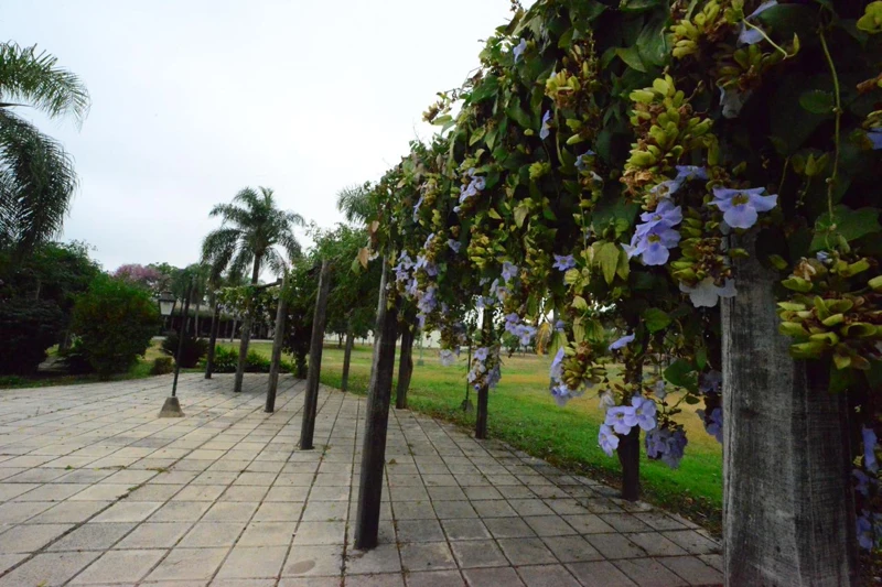 Un recorrido entre árboles y espacios exteriores.