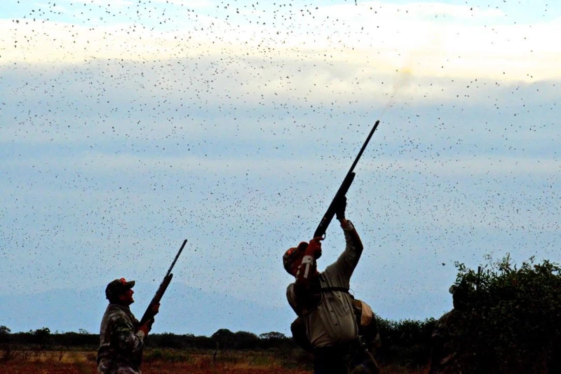 Dos participantes acompañan el paso de las aves.