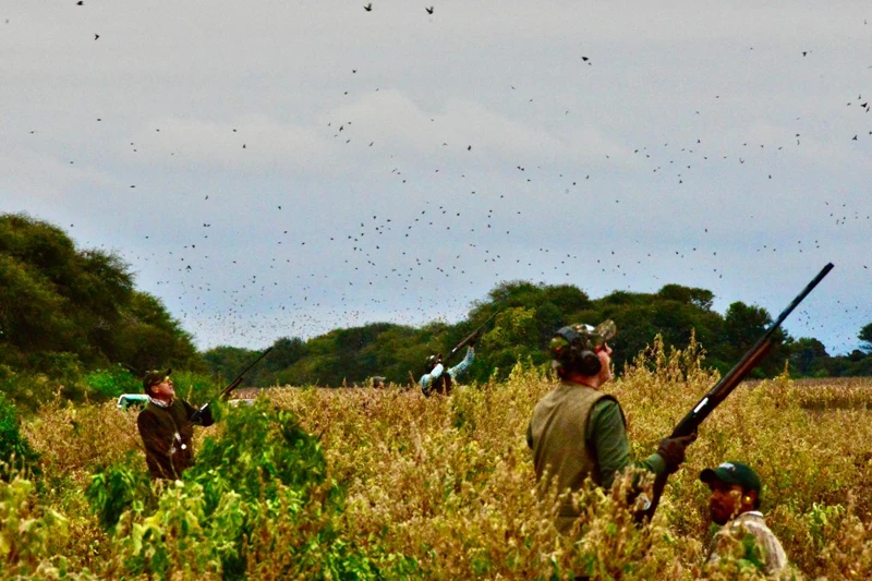 Participantes esperan el paso de las aves.