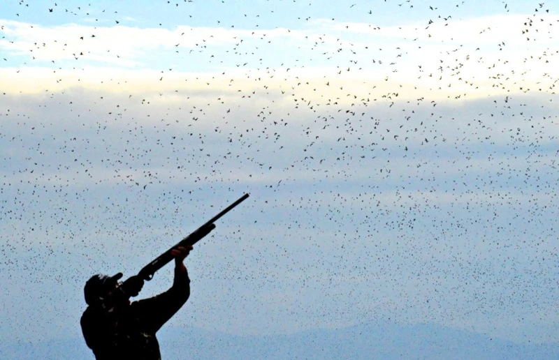 Un participante bajo una bandada de palomas.